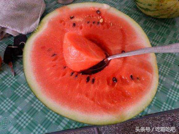 吃瓜网友全集免费观看,全网热议!揭秘“吃瓜网友全集免费观看”背后的真相 第3张 吃瓜网友全集免费观看,全网热议!揭秘“吃瓜网友全集免费观看”背后的真相 第3张