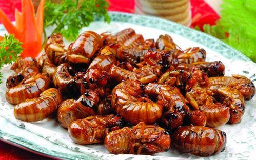 最新新康饭菜爆料图片,最新爆料图片曝光,美味与营养并存!” 第1张 最新新康饭菜爆料图片,最新爆料图片曝光,美味与营养并存!” 第1张